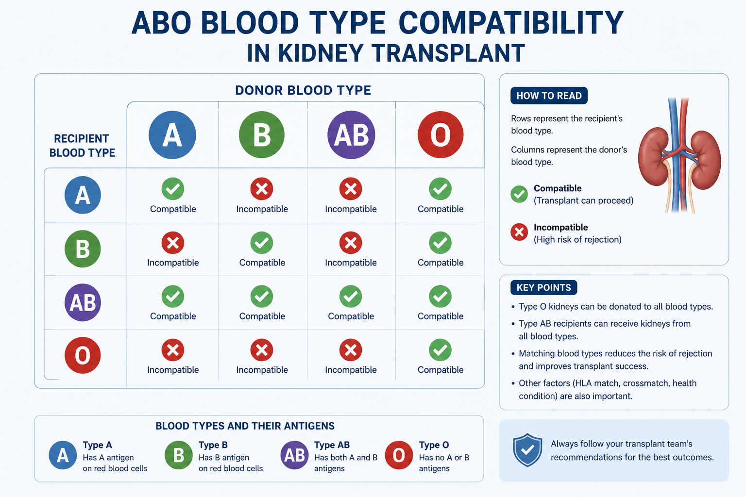 ABO-Incompatible Kidney Transplant